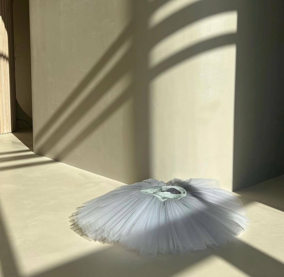 Grey Ombré soft tutu